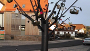 Der Verein für Tourismus – Poppenhausen (Wasserkuppe) hat die Patenschaft für die Dekoration des Lebensthemenbaums zu Ostern übernommen