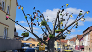 Fotos von dem zum Frühlingsbeginn dekorierten Lebensthemen-Baum.